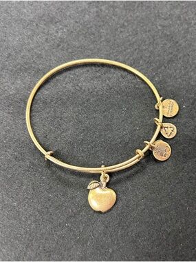 Alex and Ani Gold Apple Charm Bangle Bracelet bundle